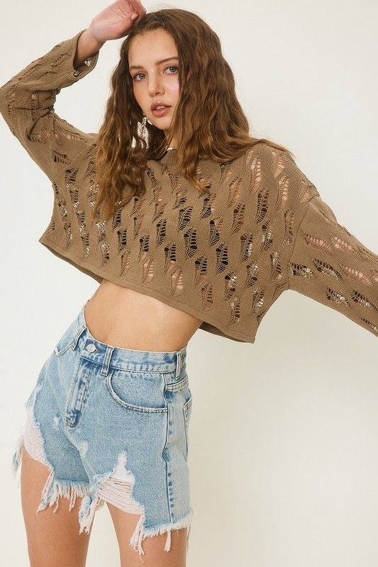 Pointelle Knit Crop Sweater