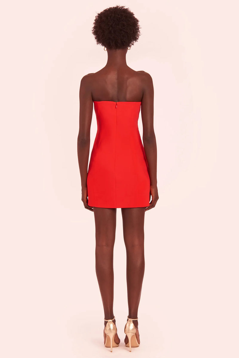 Edison Dress