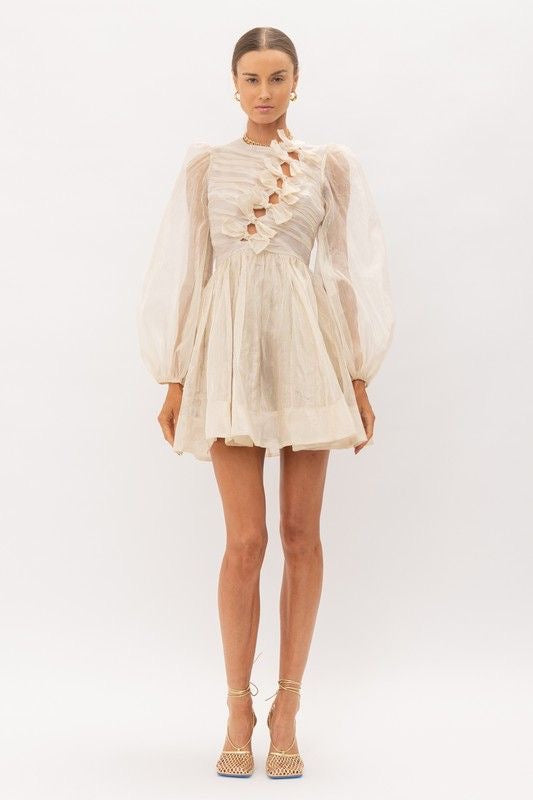 Organza Mini Dress with Bow Details