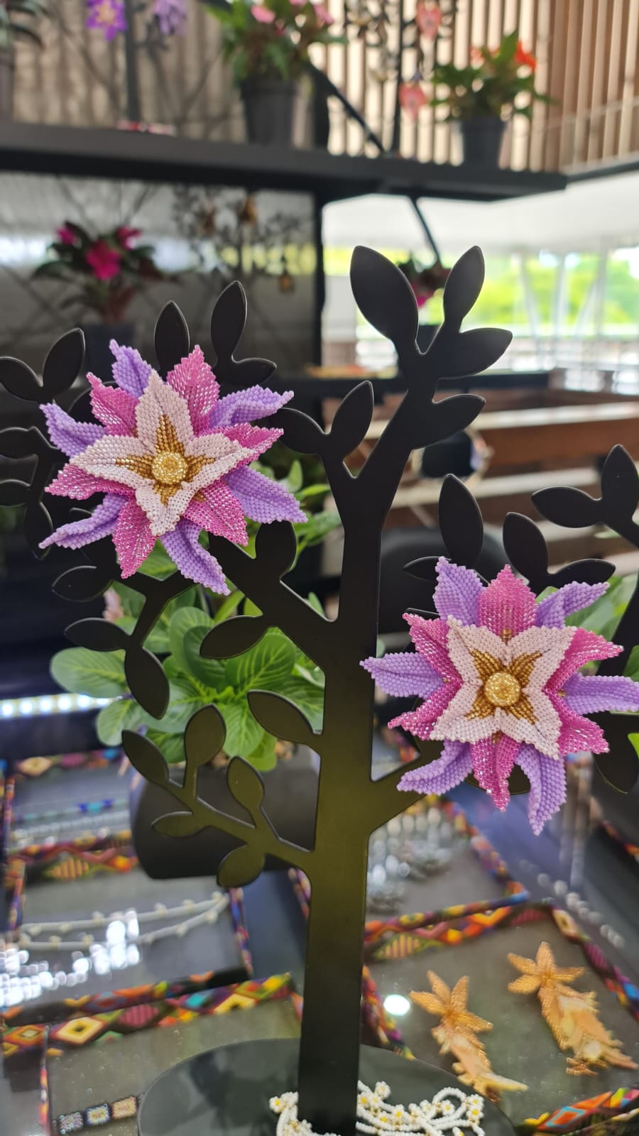 Bromelias